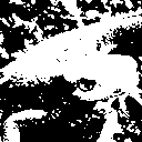 out.png
