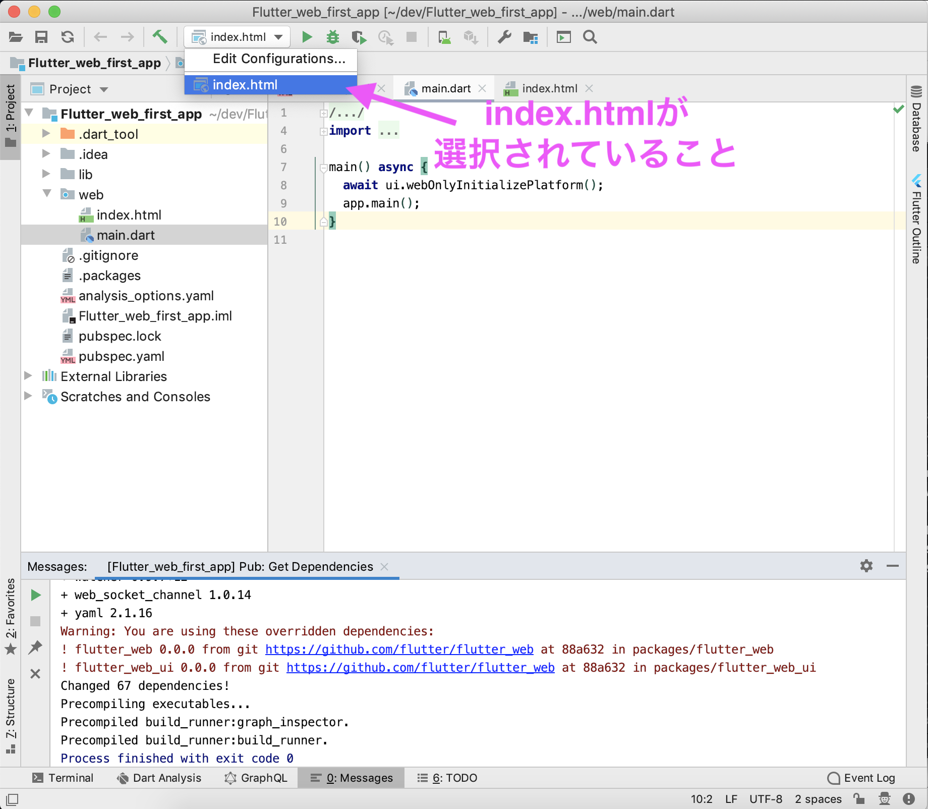 flutter_web_run.png
