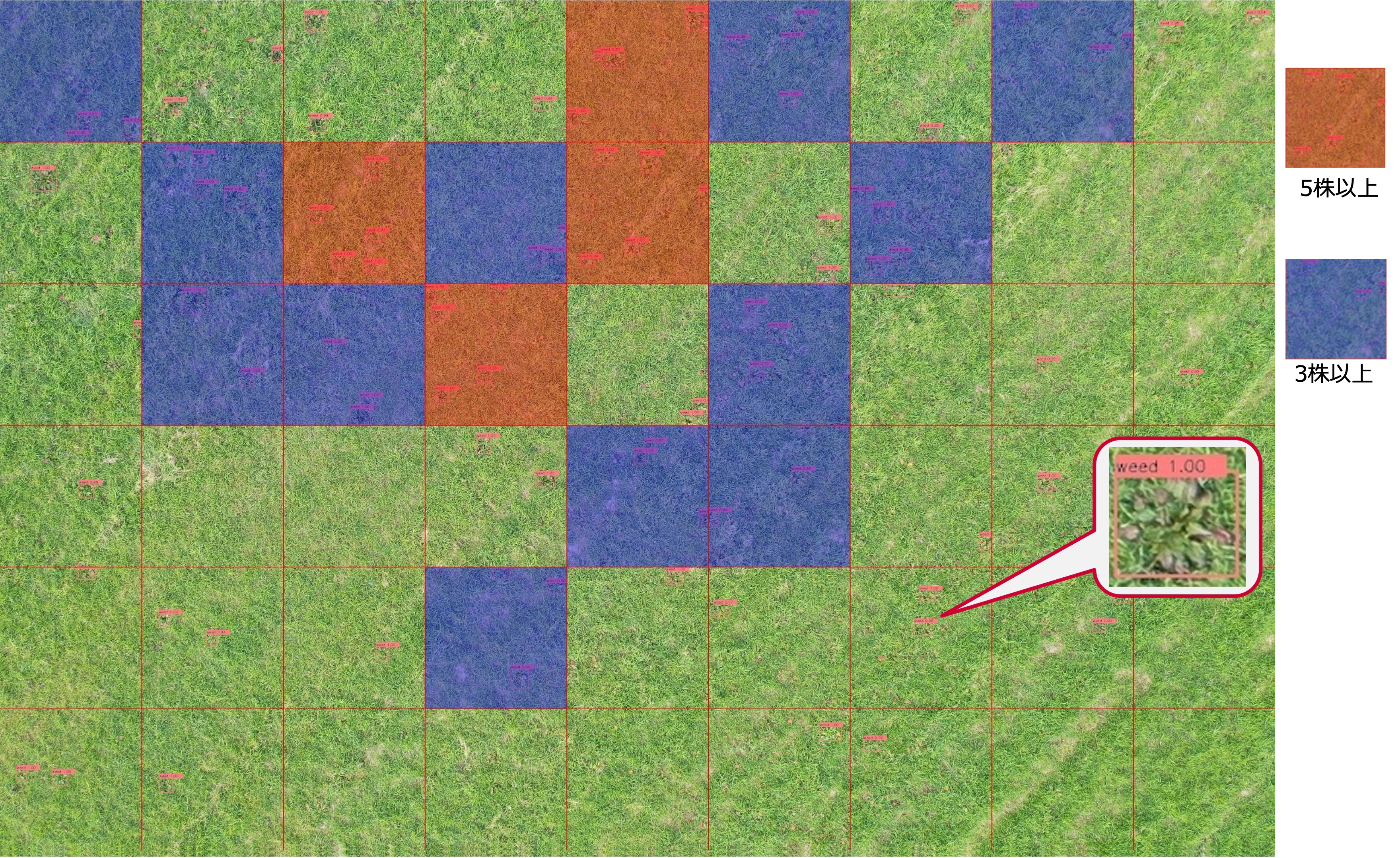 fig02.jpg