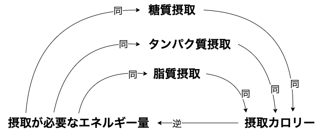 diet_loop_diagram-4-1.png