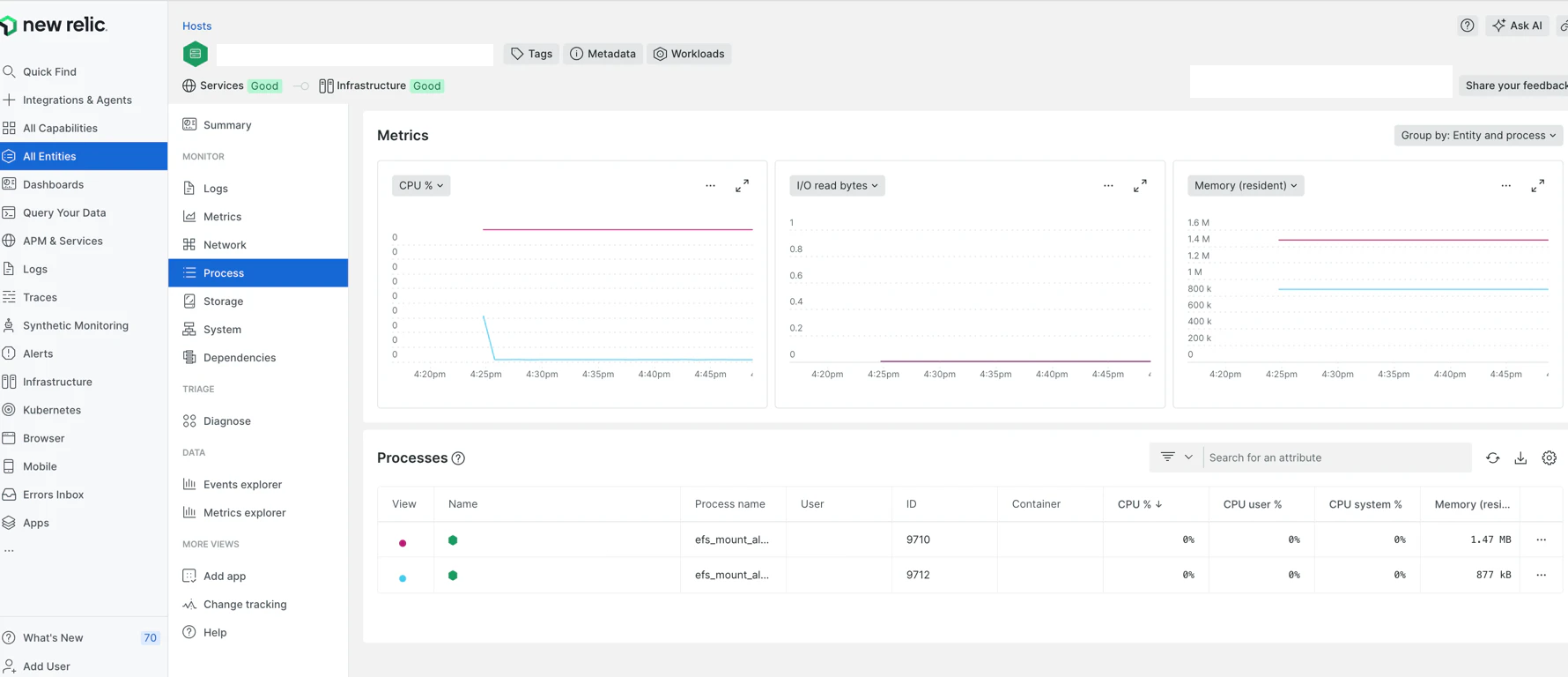 newrelic-process02.png