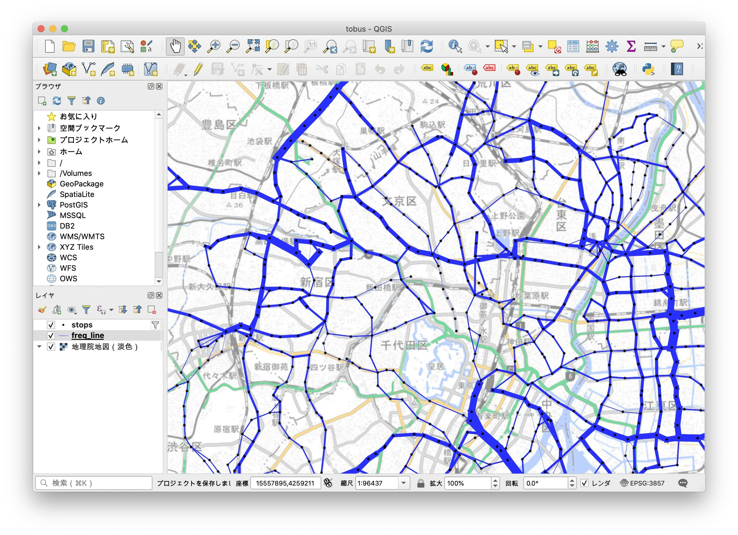 qgis_line_with_correct_width.jpg