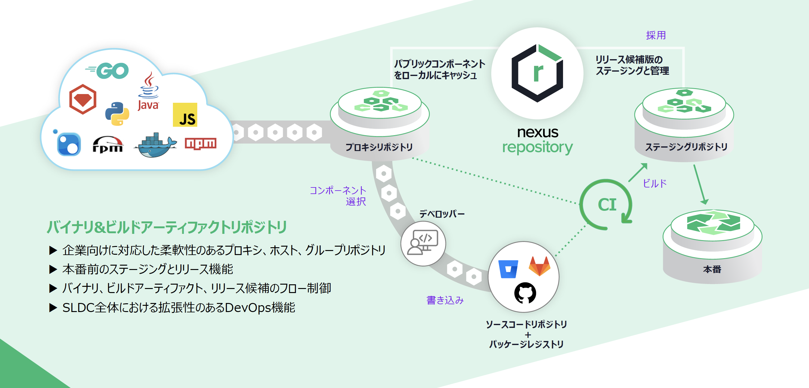 nexus-repository-pro-devsamurai-partner-01.png