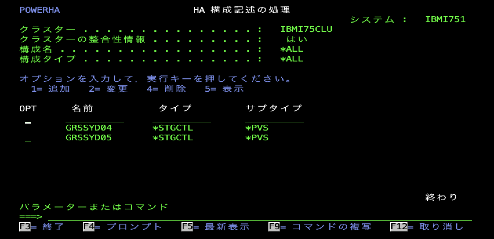 WRKCLU Option11