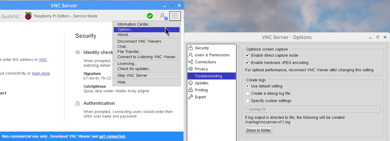 RealVNC_Server_Option.png