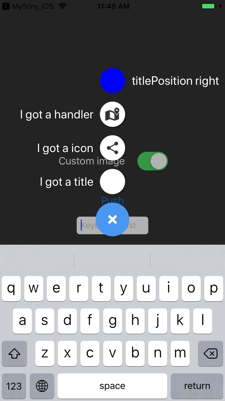 Simulator Screen Shot - iPhone 8 - 2019-08-06 at 11.45.29.png