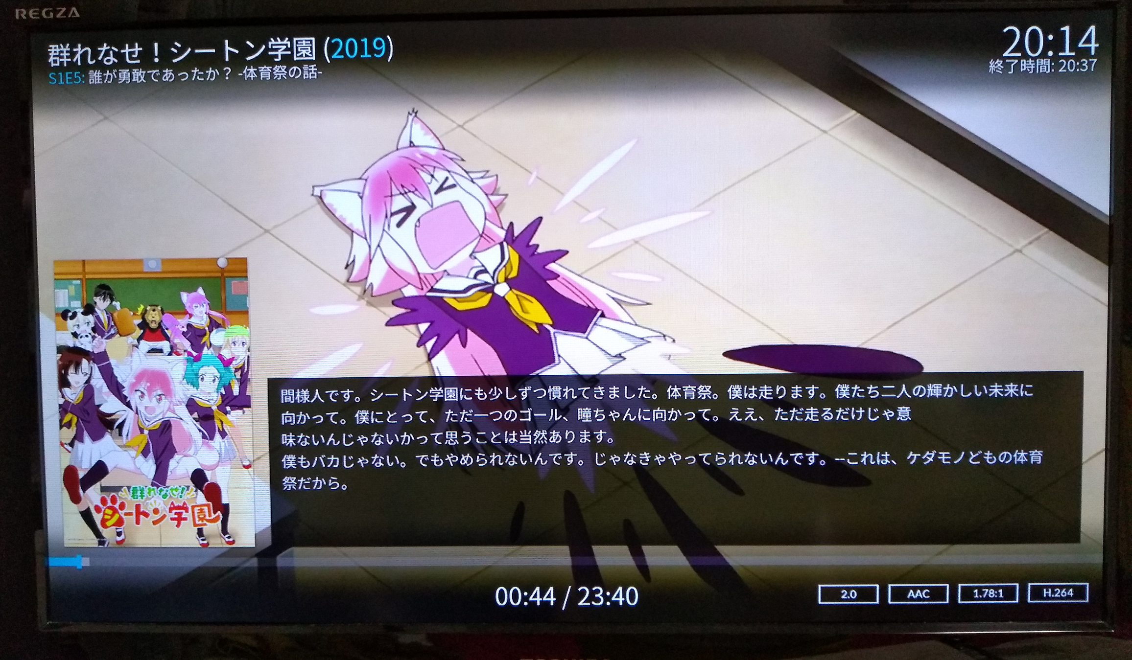 Libreelec Kodi でnetflixを見る Laptrinhx Libreelec Kodi でnetflixを見る Laptrinhx