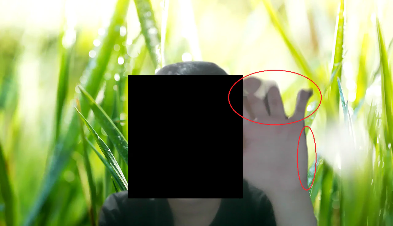 img1.png
