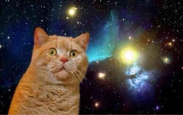SpaceCat.jpg
