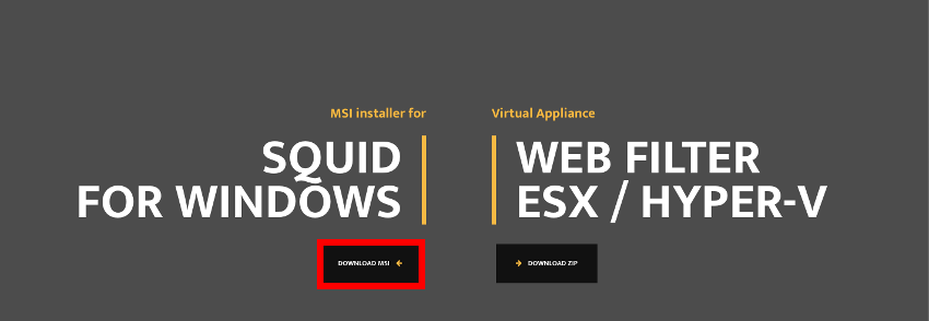 squid.msi をダウンロード