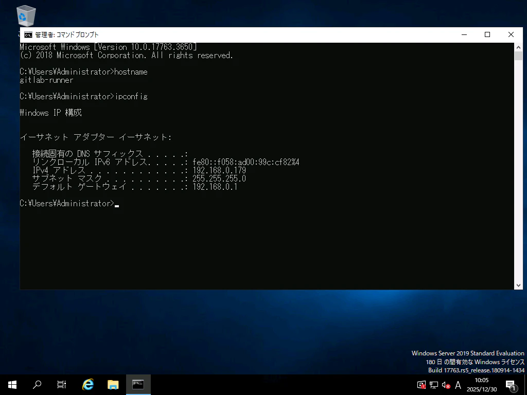 setup-vm-with-hyperv_GitLab Runner (windows)-19.png