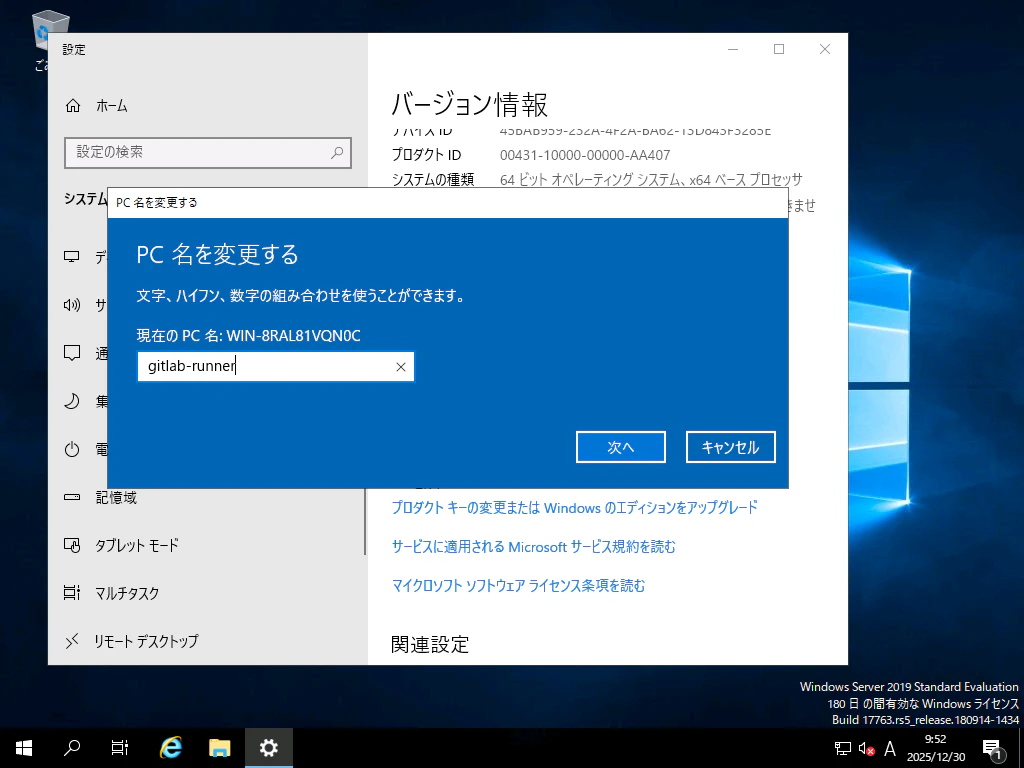 setup-vm-with-hyperv_GitLab Runner (windows)-16.png