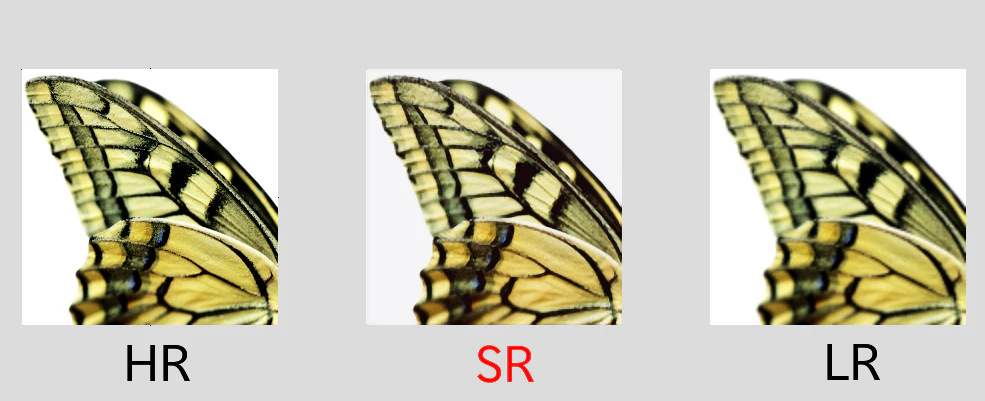 256x256 倍率 2 - Epoch 1000