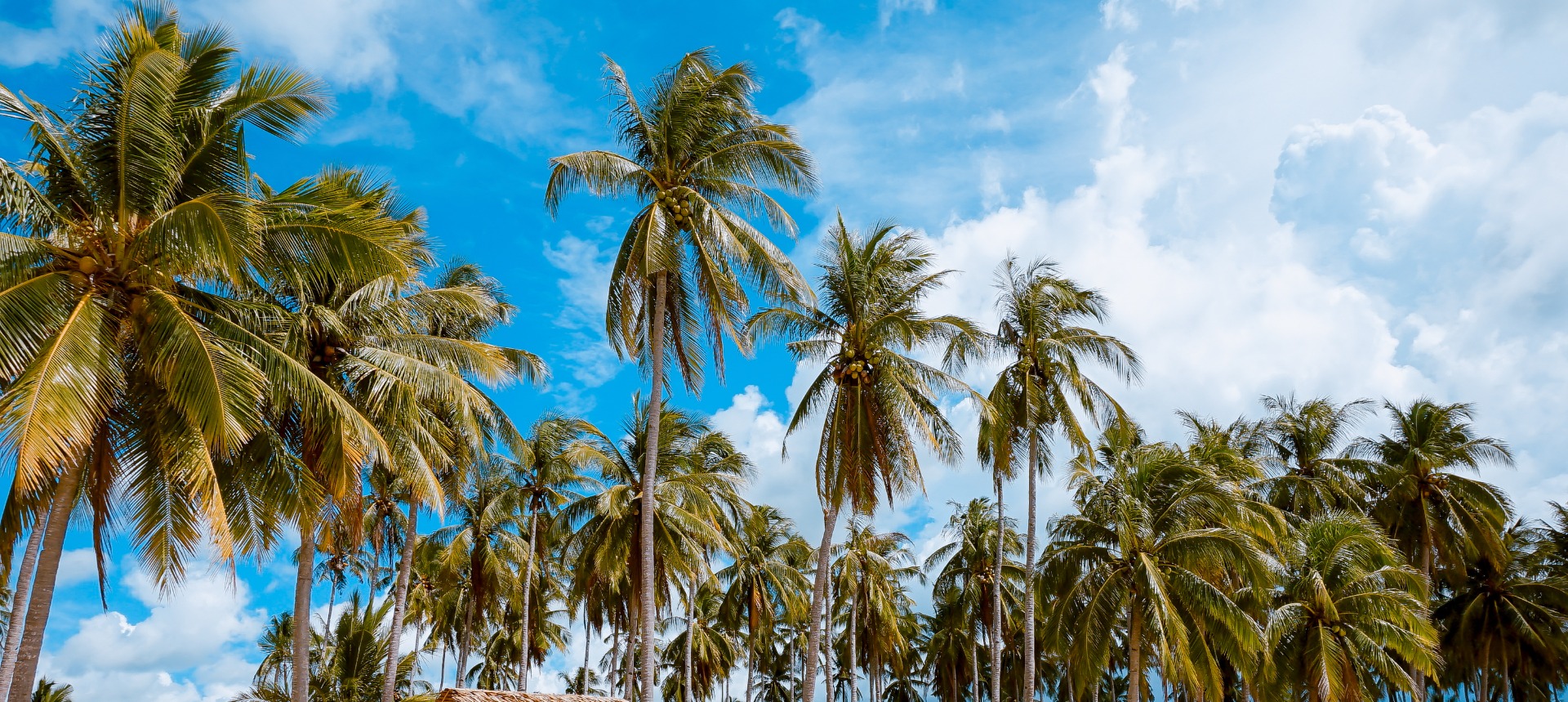 コメント 2020-04-14 151914.png