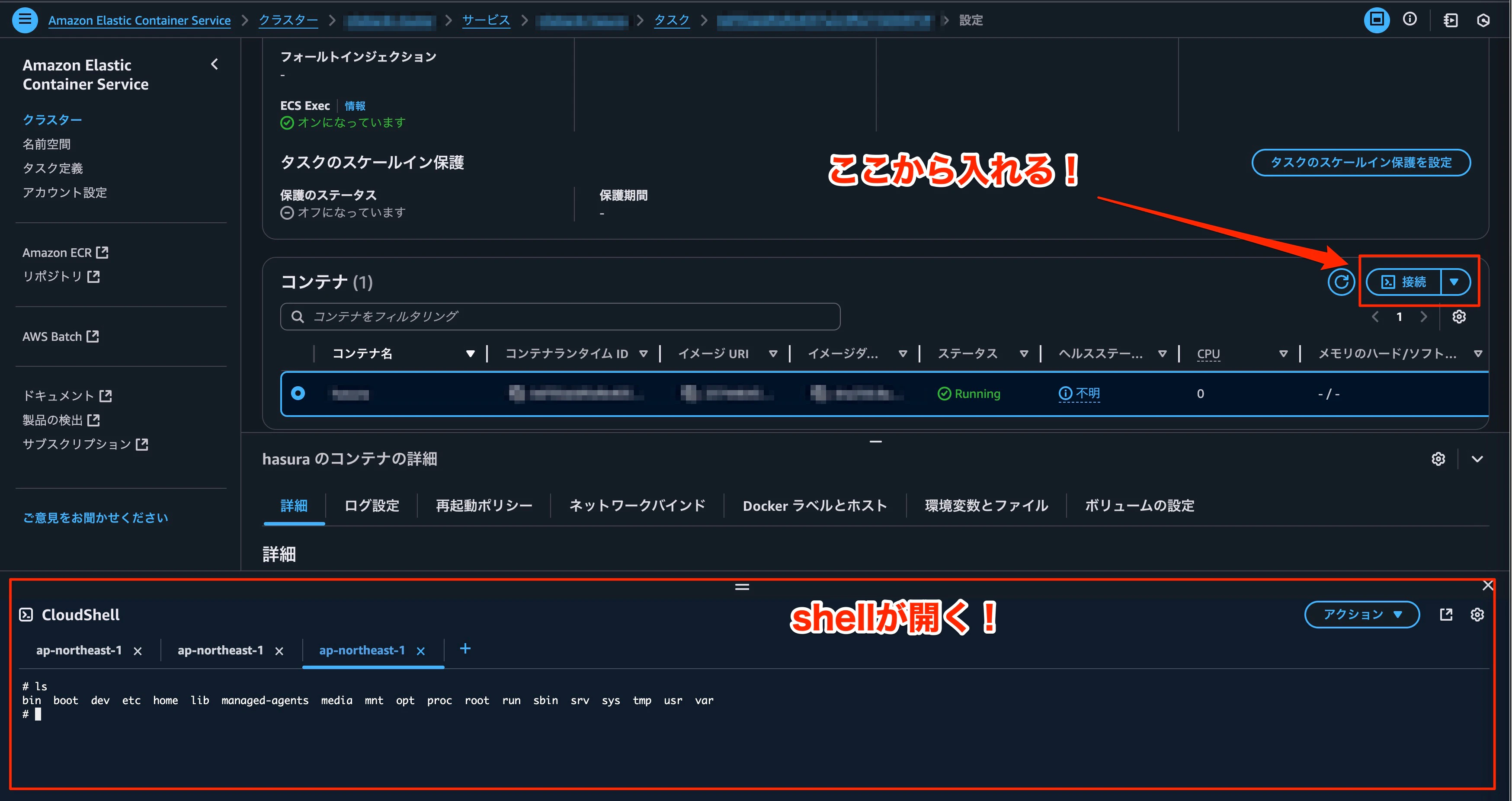 ECS-Exec.jpg