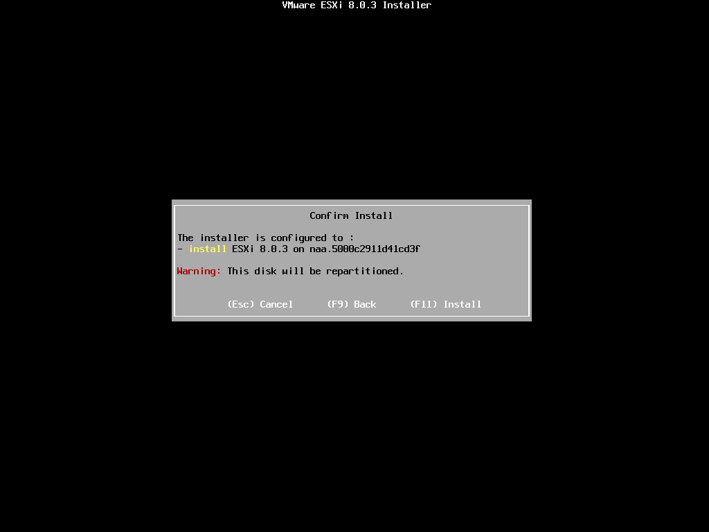 VMware vSphere Hypervisor (ESXi) 8-2024-07-11-14-11-21.png
