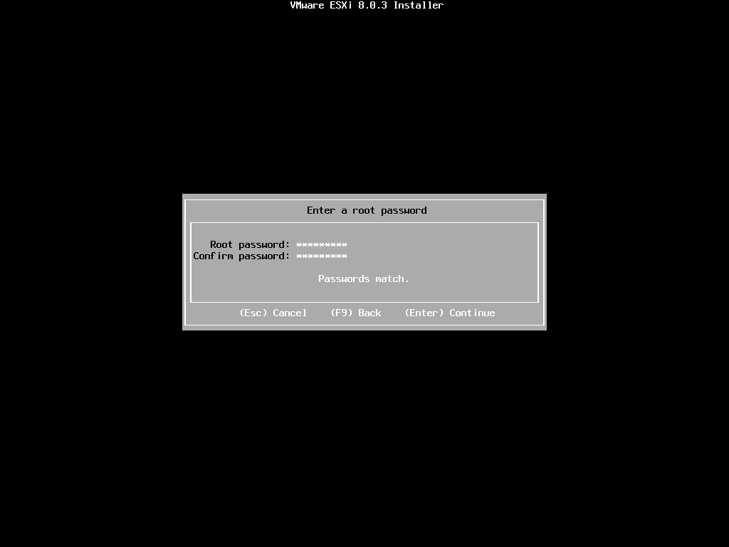 VMware vSphere Hypervisor (ESXi) 8-2024-07-11-14-09-52.png