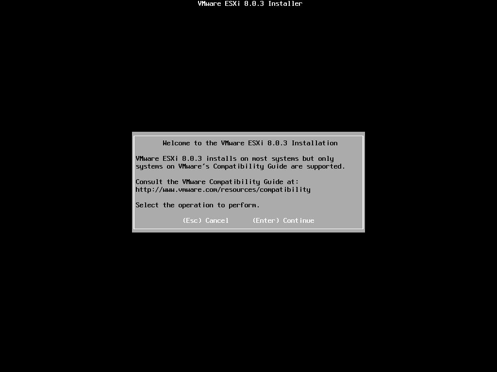 VMware vSphere Hypervisor (ESXi) 8-2024-07-11-14-03-10.png