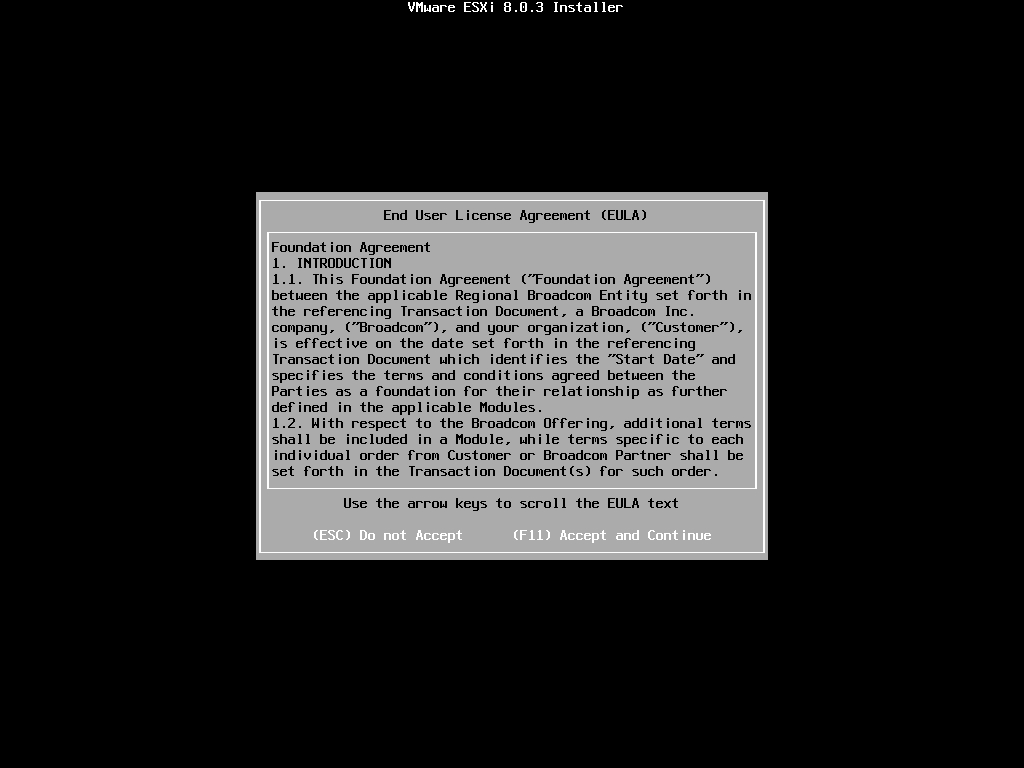 VMware vSphere Hypervisor (ESXi) 8-2024-07-11-14-03-15.png