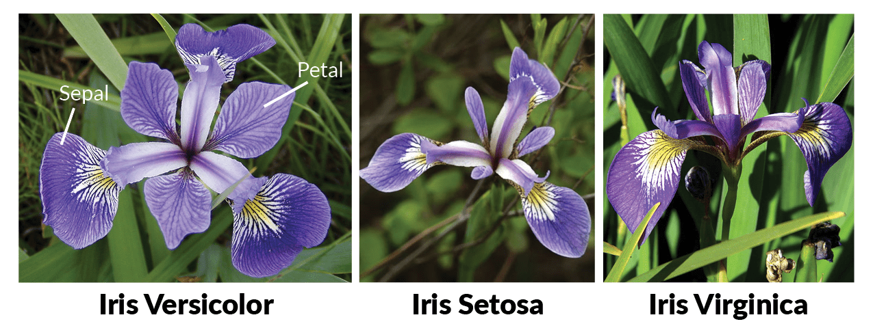 Scikit Learnによってiris アヤメ 問題を解く Ver1 0 ロジスティック回帰 Qiita