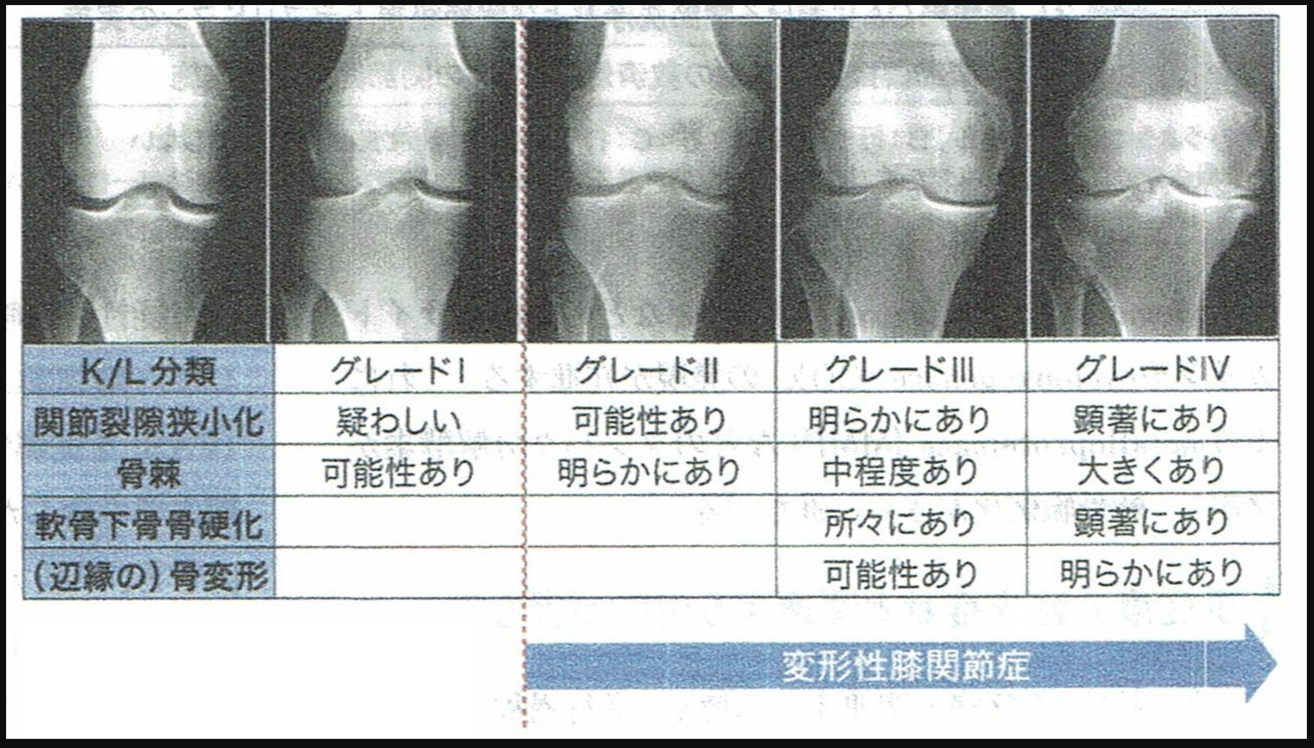 スクリーンショット 2020-12-01 18.23.24.png