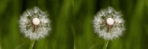 alphaによる差異の比較