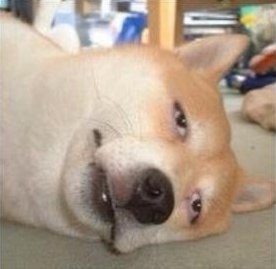 逆に何があったか聞いたほうがいい