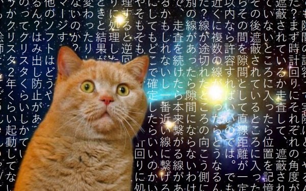 猫2 隙間の許容