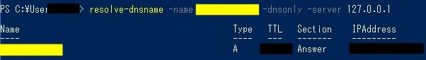 dns29.jpg