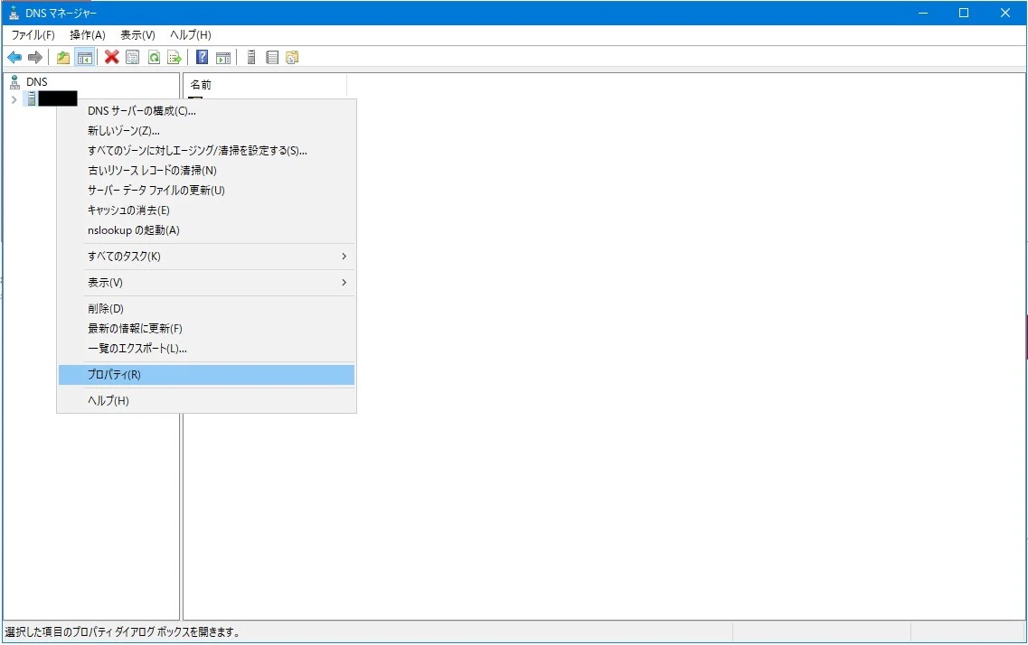 dns13.jpg
