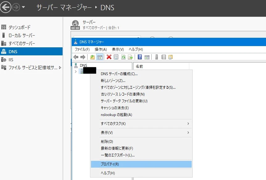 dns31.jpg