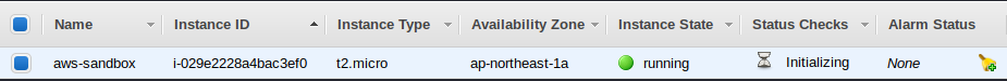 create_aws_sandbox_instanse_002.png
