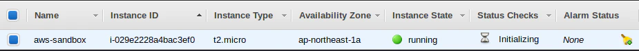 create_aws_sandbox_instanse_002.png