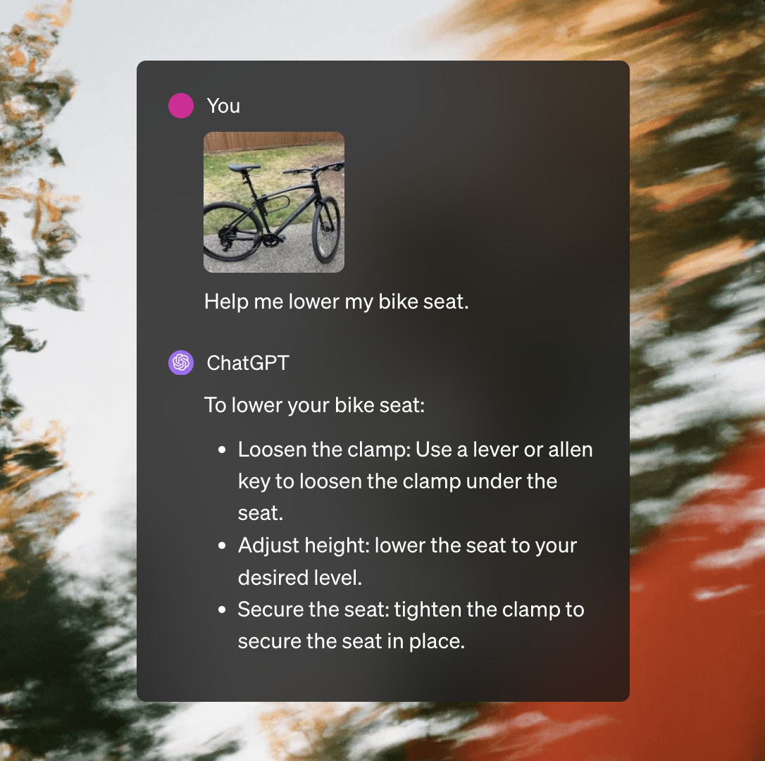 Talk about an image.png