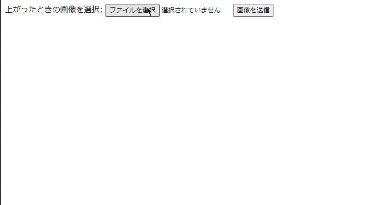 実際に画像から計算する様子