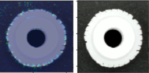 Screenshot from 2020-03-25 19-55-08.png