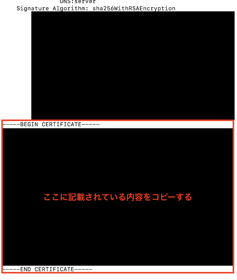 サーバー証明書nanoエディタ