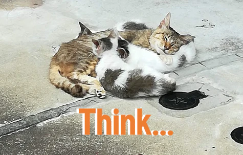 think.PNG