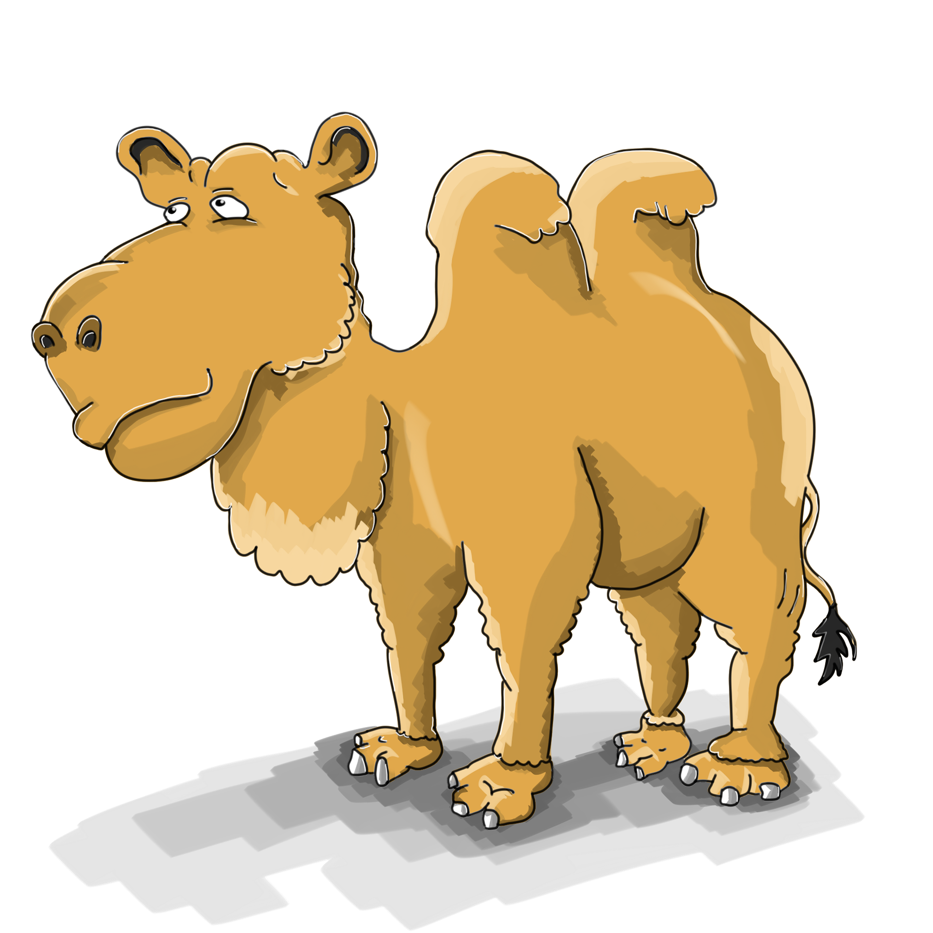 camel-2565030_1920.png