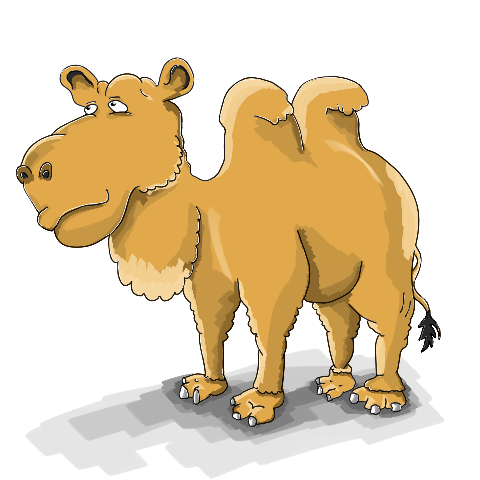 camel-2565030_1920.png