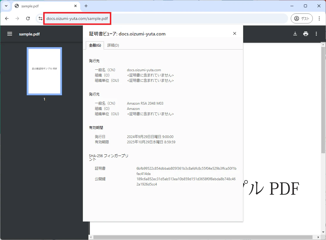 s3-pdf-custom-domein-7.png