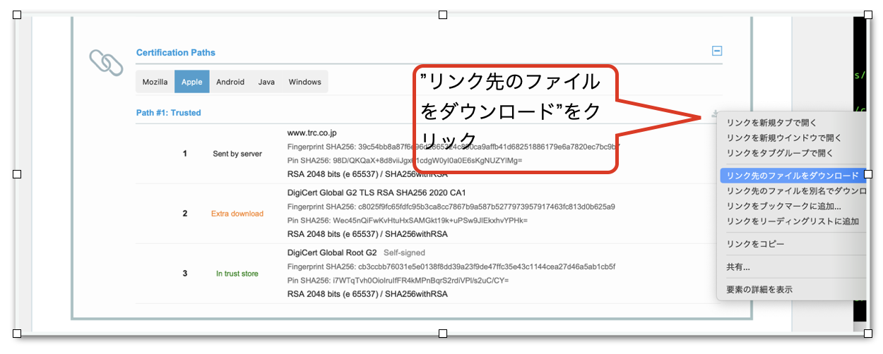 スクリーンショット 2024-03-17 11.42.30.png