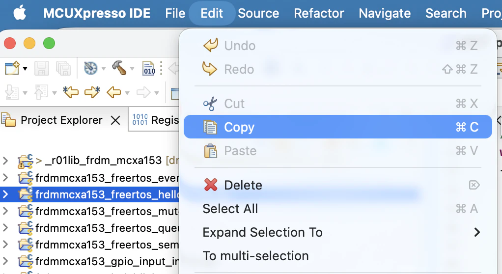 ProjectCopy.png