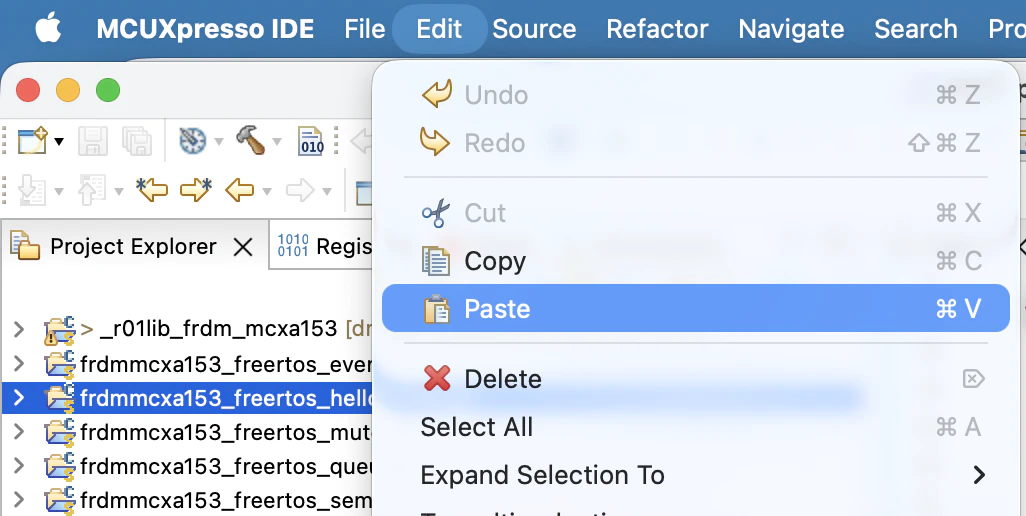 ProjectPaste1.png
