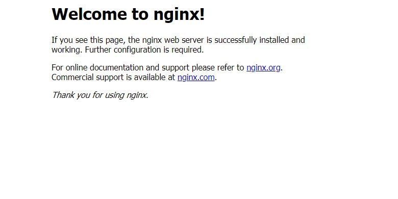 nginx_1.JPG