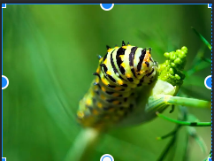 スクリーンショット 2022-03-04 18.13.01.png