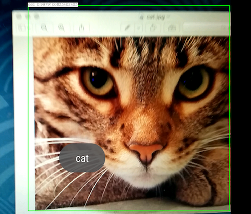 opencv52_cat.png