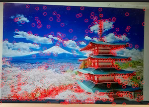 opencv48_find._feature.png
