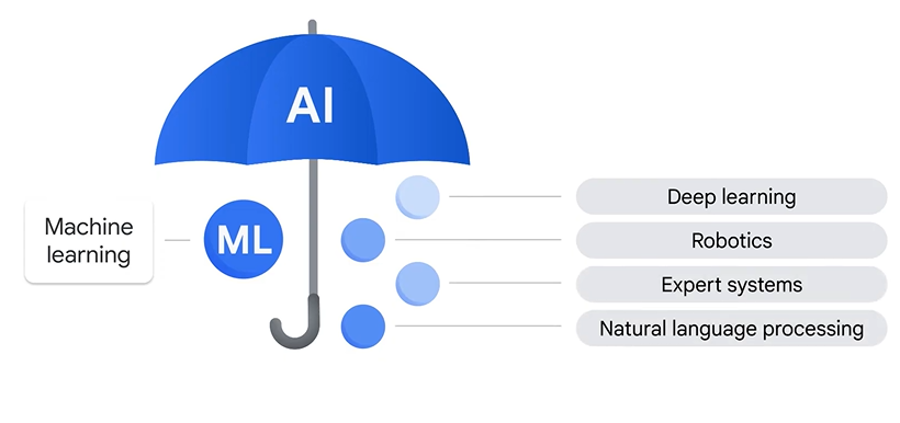 スクリーンショット 2025-10-06 113826.png
