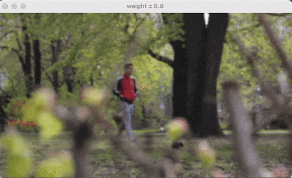 weight_0.8.gif